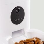 Petto Eat Small - Image 6